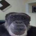 Avatar utilizator