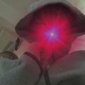 Avatar utilizator